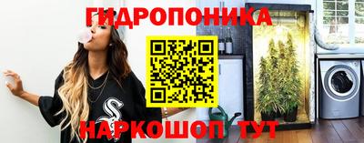 ешки Чапаевск
